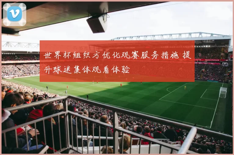 世界杯组织方优化观赛服务措施 提升球迷集体观看体验