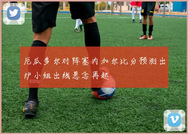 厄瓜多尔对阵塞内加尔比分预测出炉小组出线悬念再起