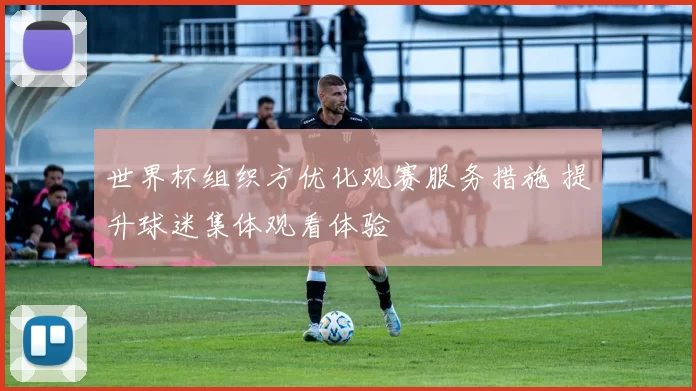 世界杯组织方优化观赛服务措施 提升球迷集体观看体验