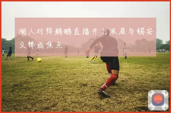 湖人对阵鹈鹕直播开打浓眉与锡安交锋成焦点